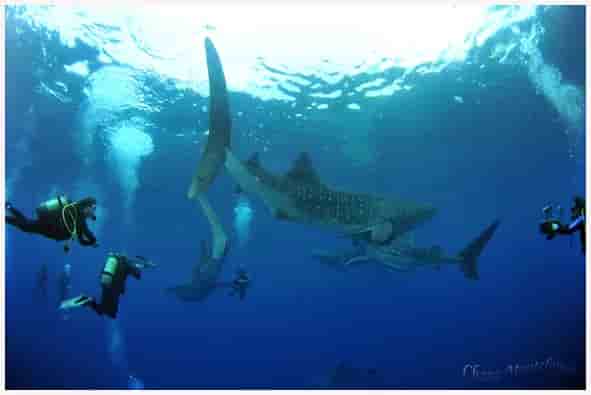 Thumbnail 2 Thumbnail 2