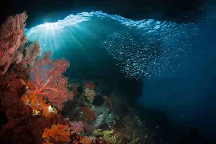 Thumbnail 4 Thumbnail 4