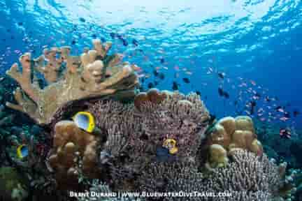 Thumbnail 1 Thumbnail 1