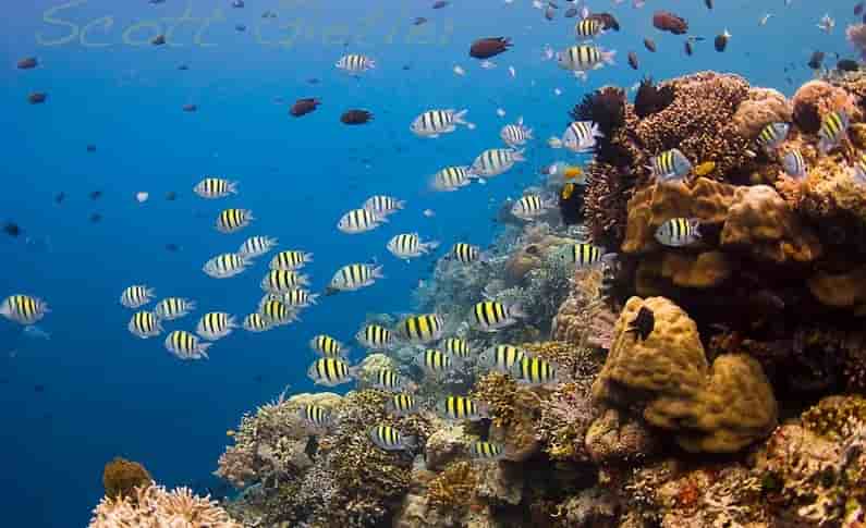 Thumbnail 5 Thumbnail 5