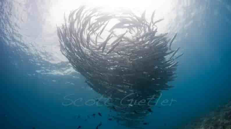 Thumbnail 6 Thumbnail 6