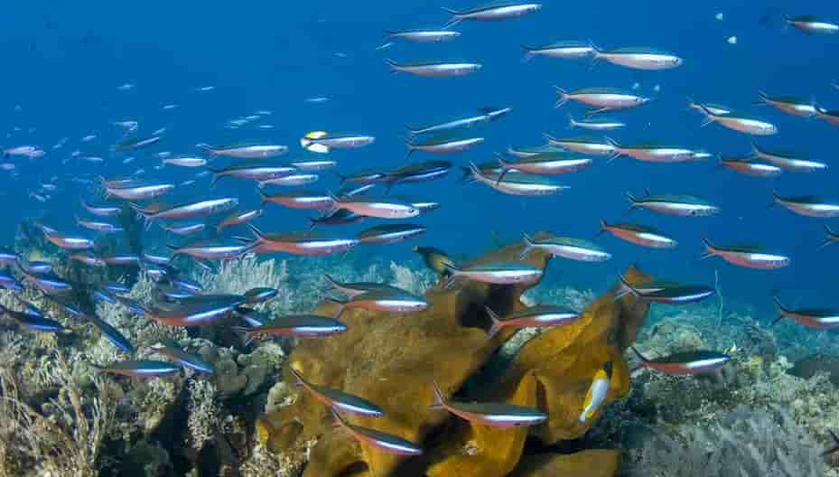 Thumbnail 7 Thumbnail 7