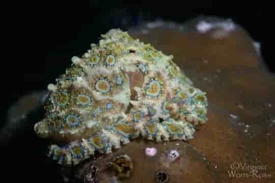 Thumbnail 1 Thumbnail 1