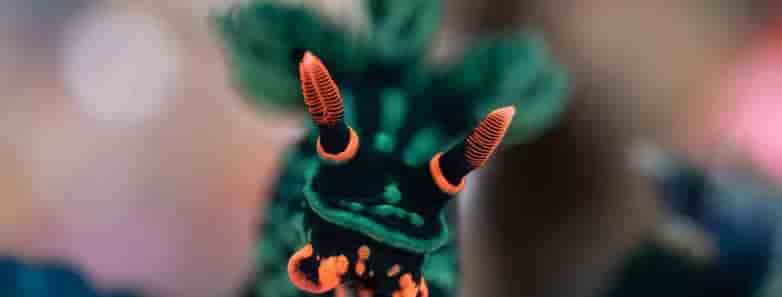 Thumbnail 3 Thumbnail 3