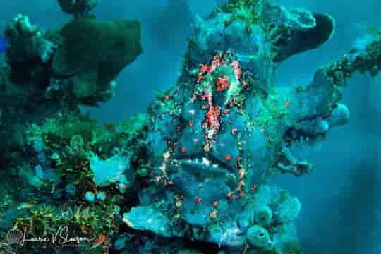 Thumbnail 7 Thumbnail 7