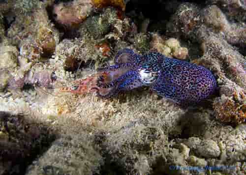 Thumbnail 2 Thumbnail 2