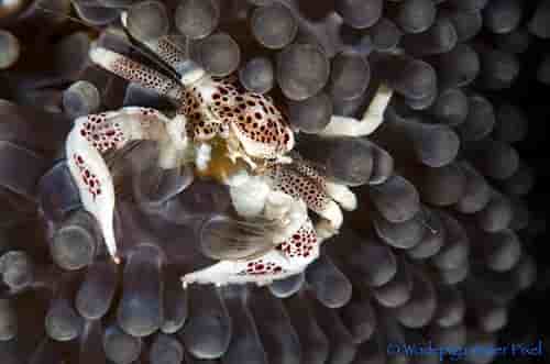 Thumbnail 4 Thumbnail 4