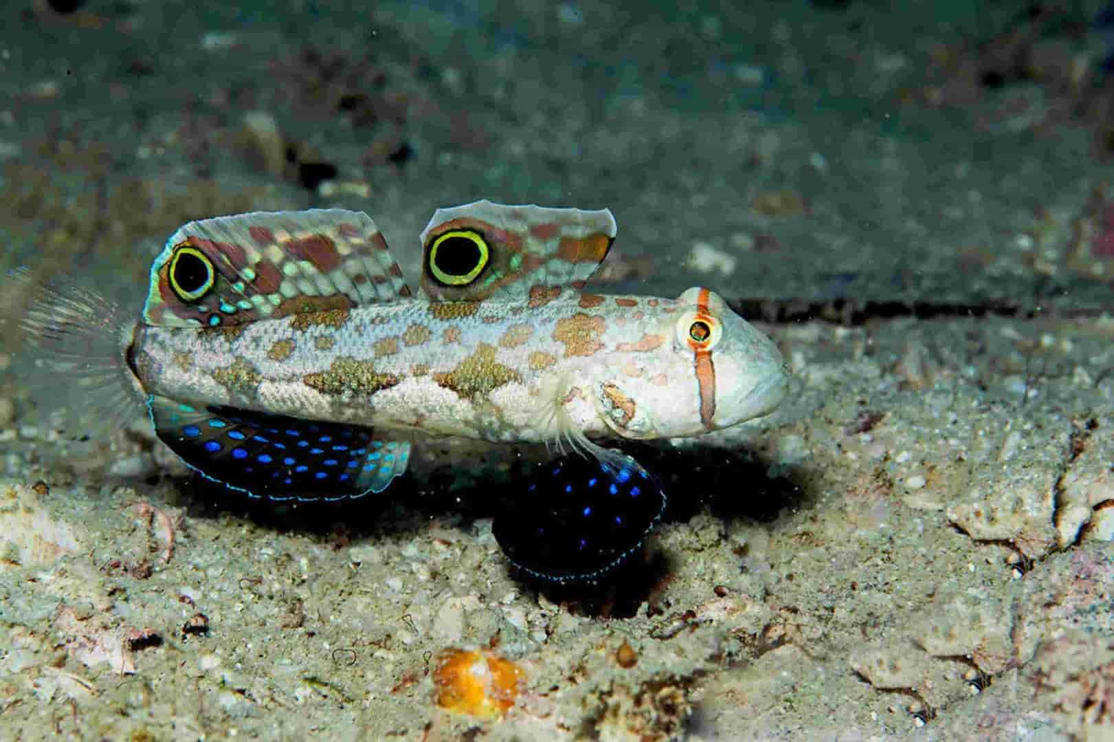 Thumbnail 5 Thumbnail 5