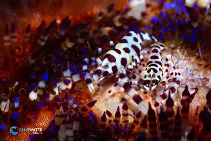 Thumbnail 1 Thumbnail 1