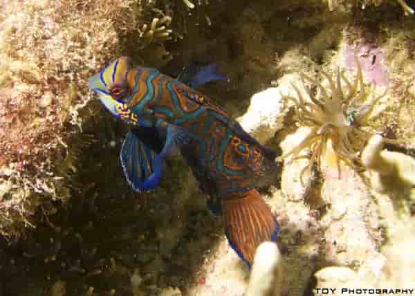 Thumbnail 1 Thumbnail 1