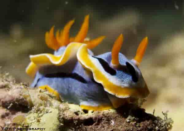 Thumbnail 2 Thumbnail 2