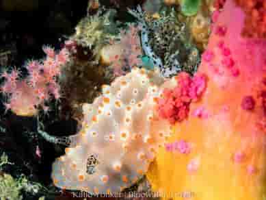 Thumbnail 4 Thumbnail 4