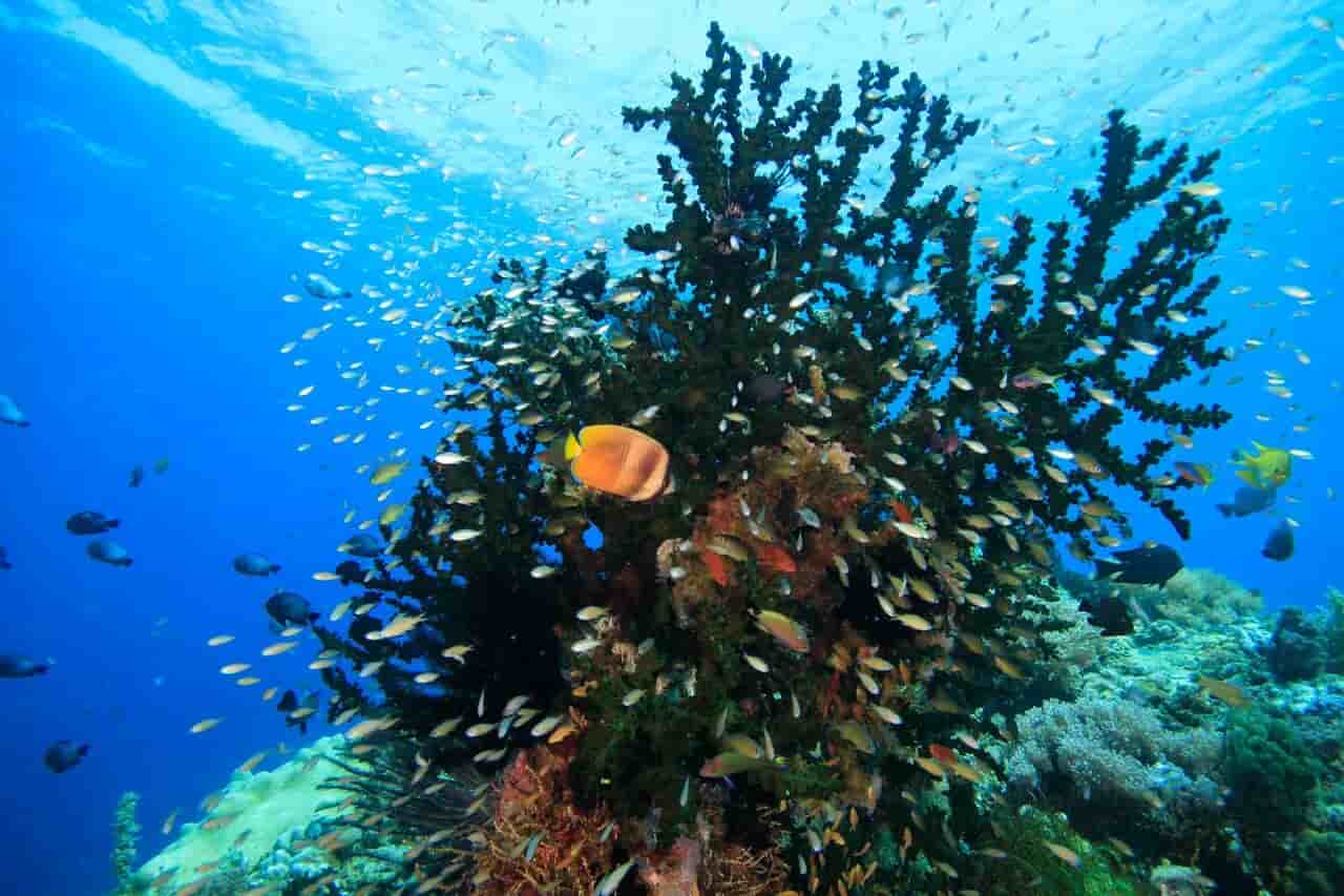 Thumbnail 5 Thumbnail 5