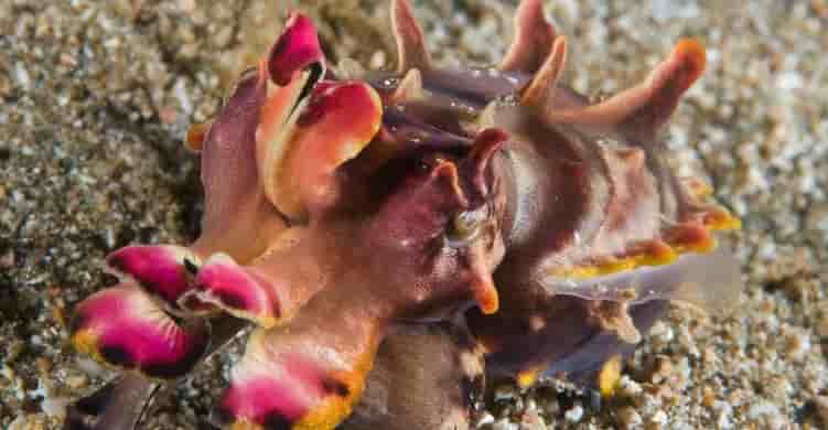 Thumbnail 3 Thumbnail 3