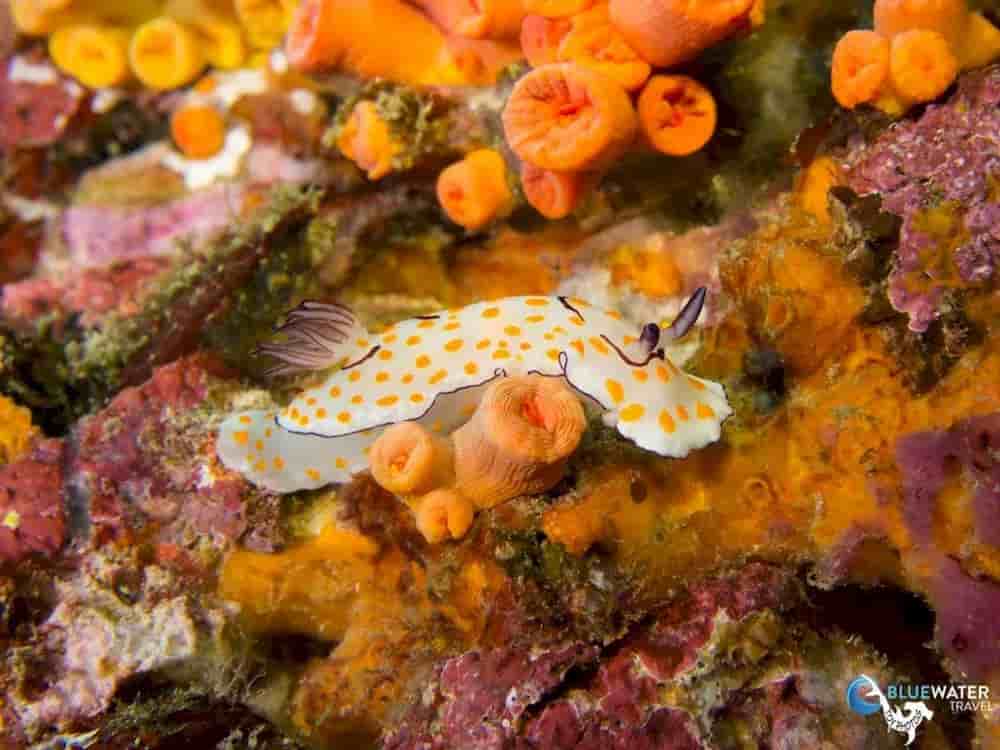 Thumbnail 1 Thumbnail 1