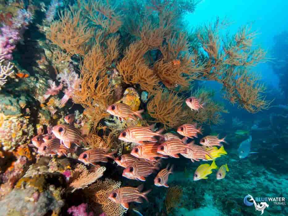 Thumbnail 8 Thumbnail 8