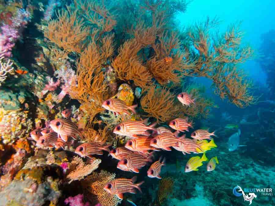 Thumbnail 4 Thumbnail 4