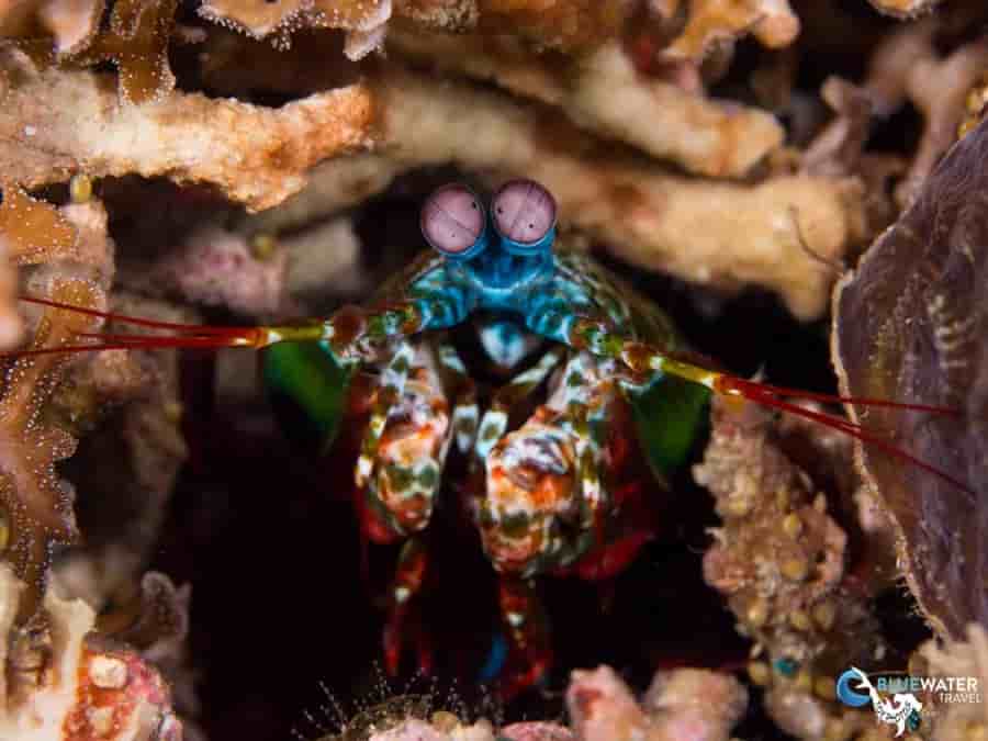 Thumbnail 5 Thumbnail 5