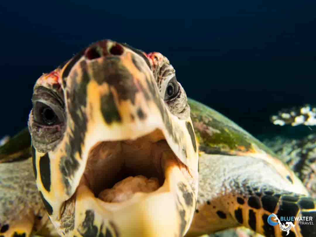 Thumbnail 8 Thumbnail 8