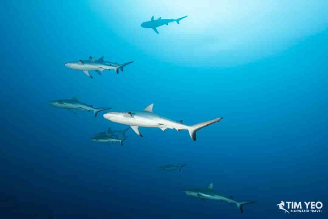 Thumbnail 1 Thumbnail 1