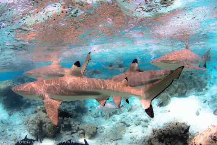 Thumbnail 3 Thumbnail 3