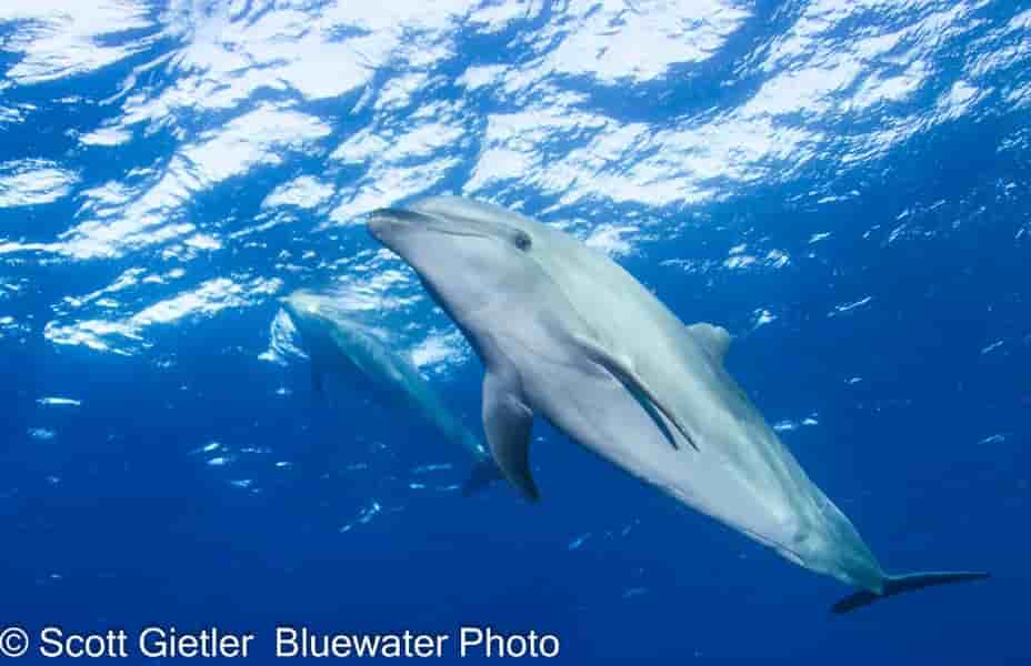 Thumbnail 1 Thumbnail 1