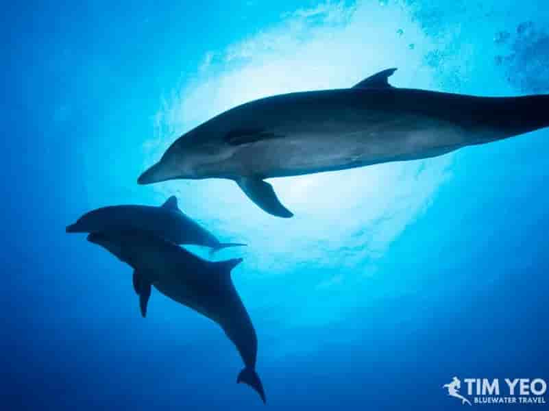 Thumbnail 3 Thumbnail 3