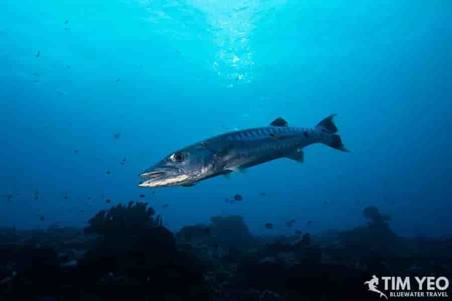 Thumbnail 4 Thumbnail 4