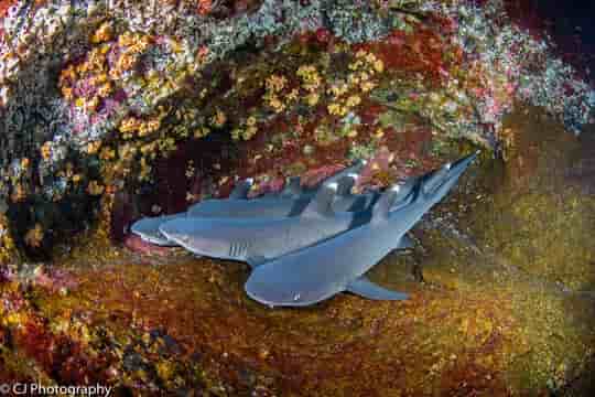 Thumbnail 4 Thumbnail 4