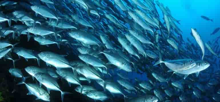 Thumbnail 4 Thumbnail 4