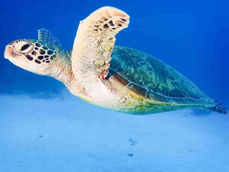 Thumbnail 3 Thumbnail 3