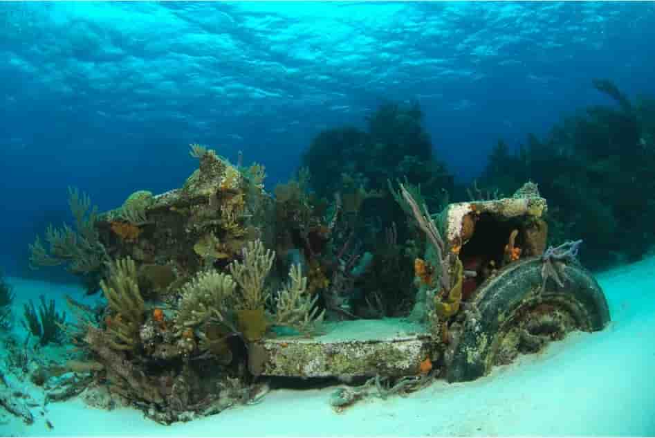 Thumbnail 3 Thumbnail 3