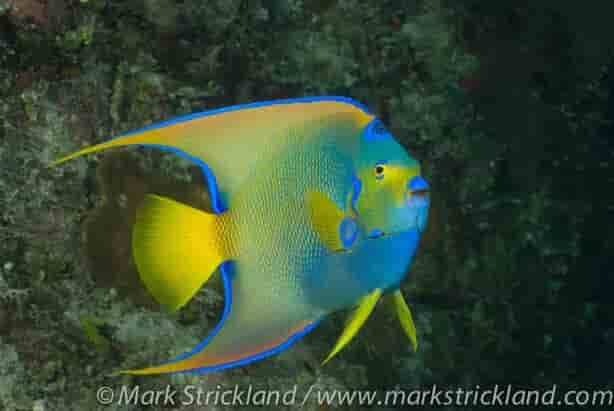 Thumbnail 6 Thumbnail 6