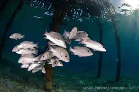 Thumbnail 3 Thumbnail 3