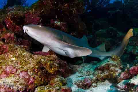 Thumbnail 4 Thumbnail 4