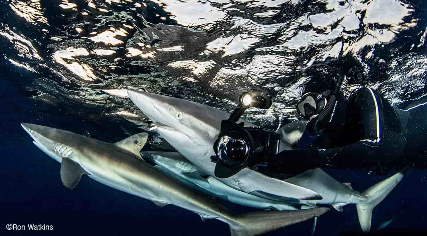 Thumbnail 3 Thumbnail 3