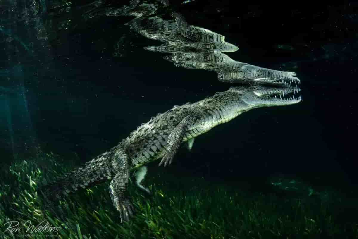 Thumbnail 2 Thumbnail 2