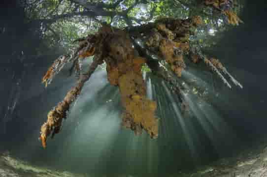 Thumbnail 3 Thumbnail 3