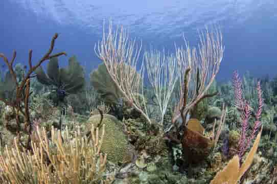 Thumbnail 4 Thumbnail 4