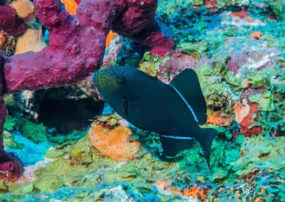 Thumbnail 1 Thumbnail 1