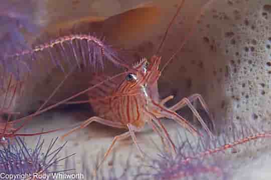 Thumbnail 2 Thumbnail 2