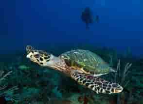 Thumbnail 4 Thumbnail 4