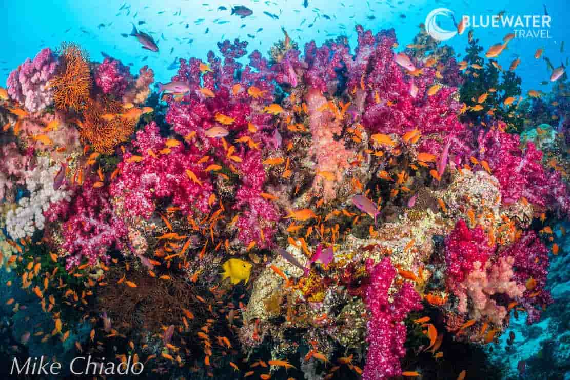 Thumbnail 6 Thumbnail 6