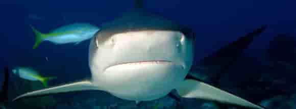 Thumbnail 2 Thumbnail 2