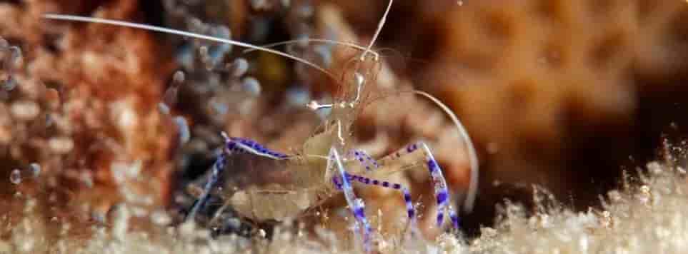 Thumbnail 4 Thumbnail 4