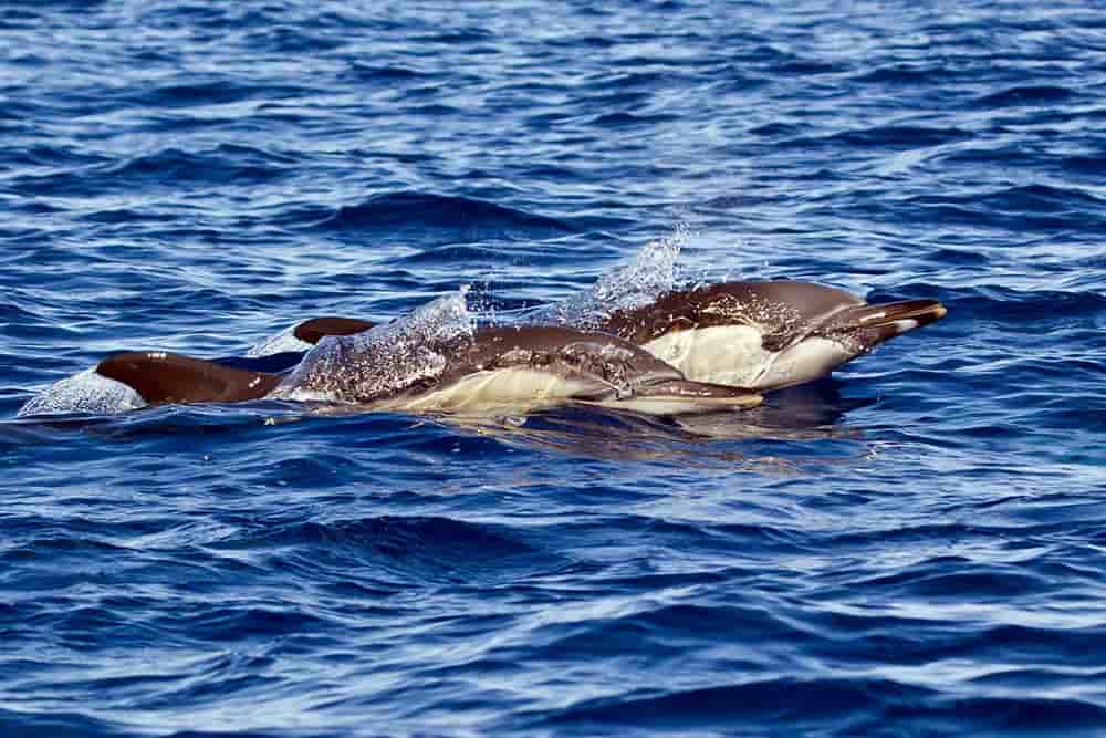 Thumbnail 1 Thumbnail 1