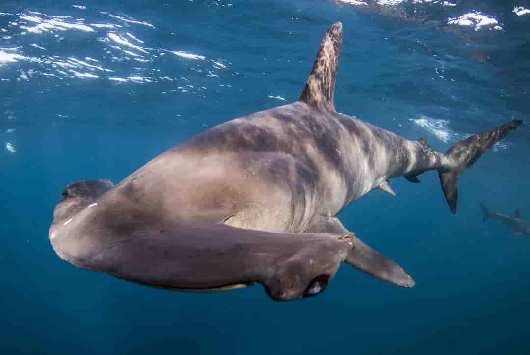 Thumbnail 2 Thumbnail 2