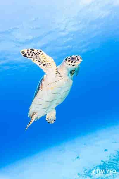 Thumbnail 3 Thumbnail 3