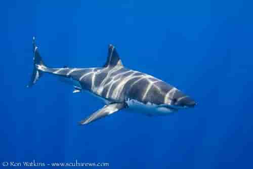 Thumbnail 3 Thumbnail 3