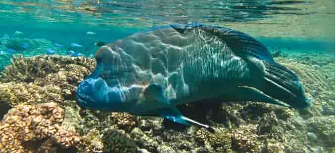 Thumbnail 5 Thumbnail 5